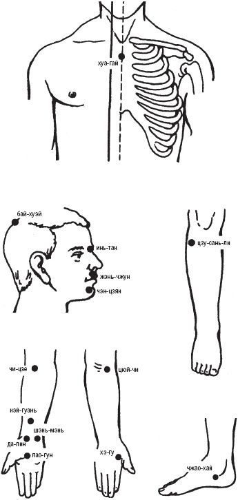 Иллюстрация к книге — Лечебные точки организма. Снимаем боли в суставах и мышцах, укрепляем кожу, вены, сон и иммунитет [_31.jpg]