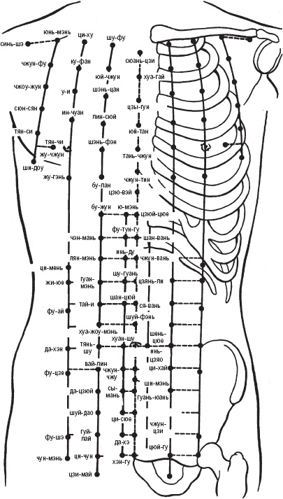 Иллюстрация к книге — Лечебные точки организма. Снимаем боли в суставах и мышцах, укрепляем кожу, вены, сон и иммунитет [_4.jpg]
