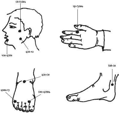 Иллюстрация к книге — Лечебные точки организма. Снимаем боли в суставах и мышцах, укрепляем кожу, вены, сон и иммунитет [_48.jpg]