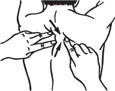 Иллюстрация к книге — Лечебные точки организма. Снимаем боли в суставах и мышцах, укрепляем кожу, вены, сон и иммунитет [_58.jpg]