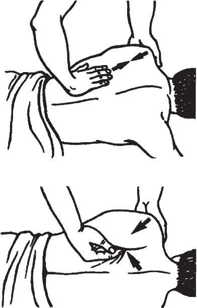 Иллюстрация к книге — Лечебные точки организма. Снимаем боли в суставах и мышцах, укрепляем кожу, вены, сон и иммунитет [_64.jpg]