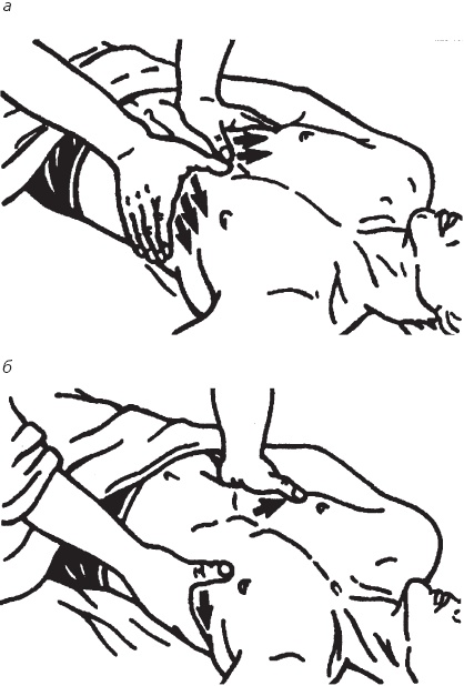 Иллюстрация к книге — Лечебные точки организма. Снимаем боли в суставах и мышцах, укрепляем кожу, вены, сон и иммунитет [_66.jpg]