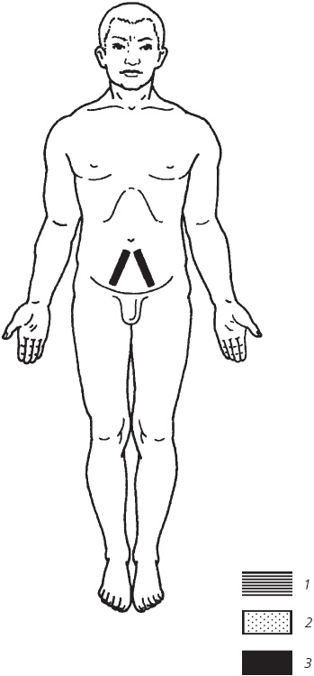 Иллюстрация к книге — Лечебные точки организма. Снимаем боли в суставах и мышцах, укрепляем кожу, вены, сон и иммунитет [_70.jpg]