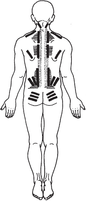 Иллюстрация к книге — Лечебные точки организма. Снимаем боли в суставах и мышцах, укрепляем кожу, вены, сон и иммунитет [_71.jpg]