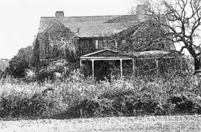 Иллюстрация к книге — Восхитительные женщины. Неподвластные времени [i_244.jpg]