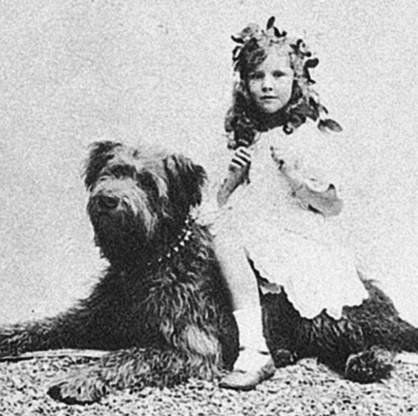 Иллюстрация к книге — Восхитительные женщины. Неподвластные времени [i_284.jpg]