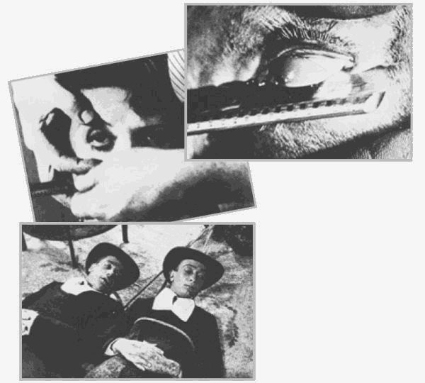 Иллюстрация к книге — Сальвадор Дали. Божественный и многоликий [i_014.jpg]