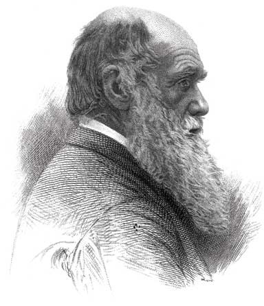 Иллюстрация к книге — Загадки цивилизаций [i_012.jpg]