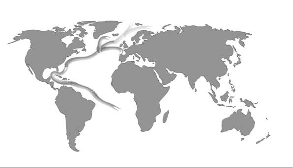 Иллюстрация к книге — Загадки цивилизаций [i_024.jpg]