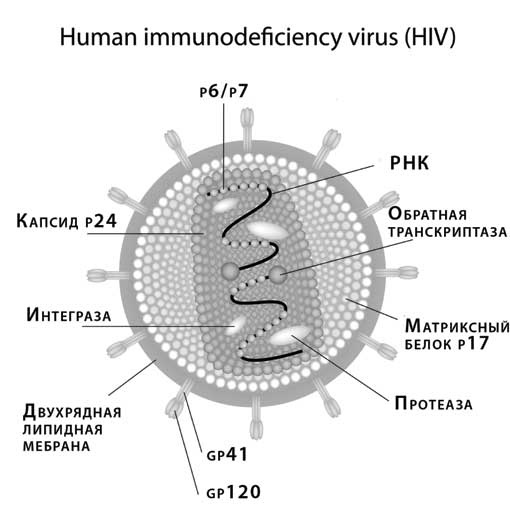Иллюстрация к книге — Загадки цивилизаций [i_040.jpg]