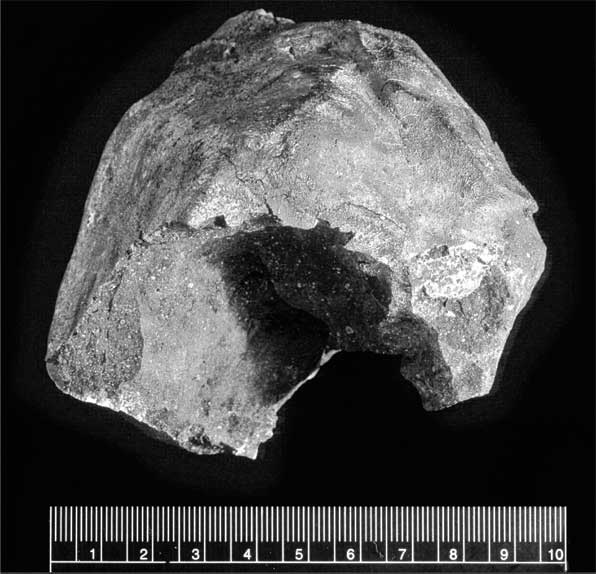 Иллюстрация к книге — Загадки цивилизаций [i_041.jpg]