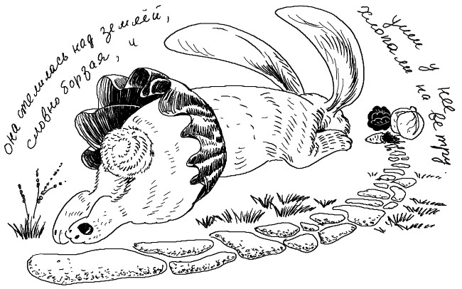 Иллюстрация к книге — Печенька, или История Красавицы [i_003.jpg]