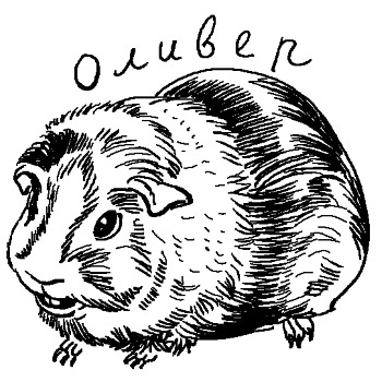 Иллюстрация к книге — Печенька, или История Красавицы [i_034.jpg]