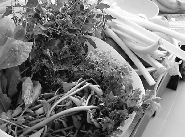 Иллюстрация к книге — Моя жизнь - сыроедение. Книга реальных историй и рецептов [img_25.jpg]