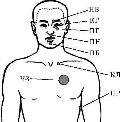 Иллюстрация к книге — Моя жизнь - сыроедение. Книга реальных историй и рецептов [img_62.jpg]