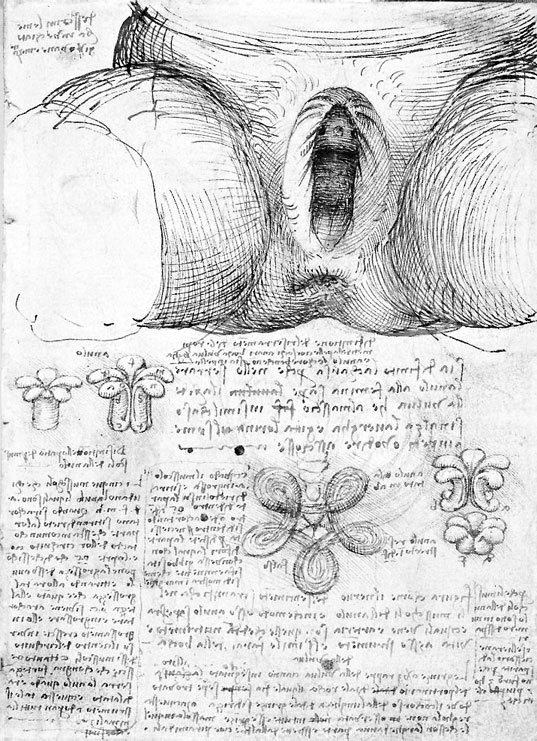 Иллюстрация к книге — Леонардо да Винчи. Загадки гения [_122.jpg]