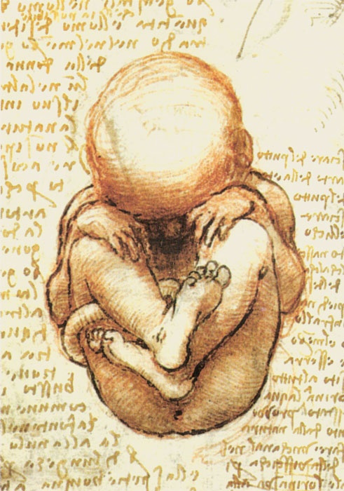 Иллюстрация к книге — Леонардо да Винчи. Загадки гения [_174.jpg]