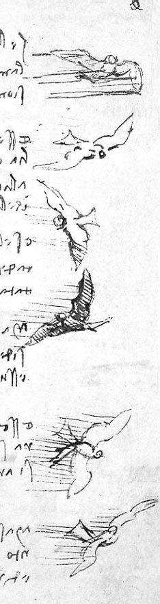 Иллюстрация к книге — Леонардо да Винчи. Загадки гения [_7.jpg]