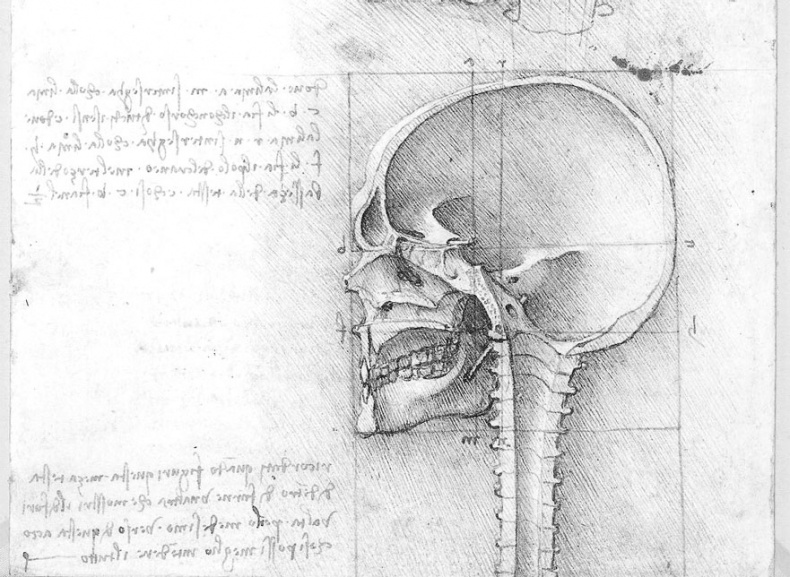 Иллюстрация к книге — Леонардо да Винчи. Загадки гения [_80.jpg]