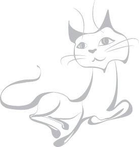 Иллюстрация к книге — Кошки, собаки и… другие люди. Невыдуманные истории спасения [_15.jpg]