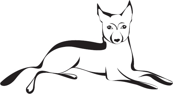 Иллюстрация к книге — Кошки, собаки и… другие люди. Невыдуманные истории спасения [_8.jpg]