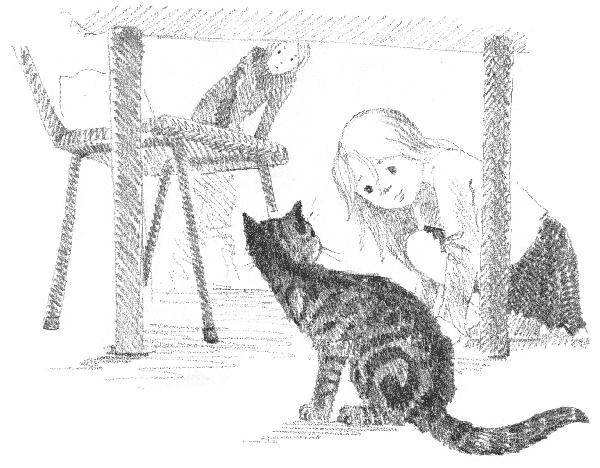 Иллюстрация к книге — Котенок Звездочка, или Двойной сюрприз [i_006.jpg]