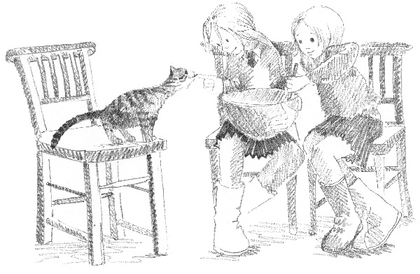 Иллюстрация к книге — Котенок Звездочка, или Двойной сюрприз [i_019.jpg]