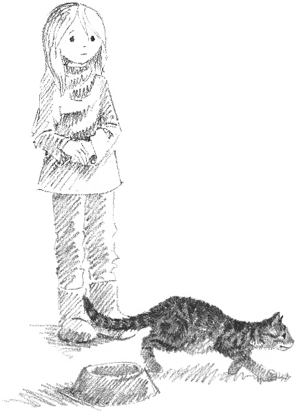 Иллюстрация к книге — Котенок Звездочка, или Двойной сюрприз [i_020.jpg]