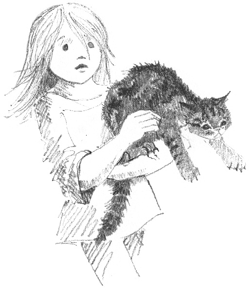 Иллюстрация к книге — Котенок Звездочка, или Двойной сюрприз [i_023.jpg]