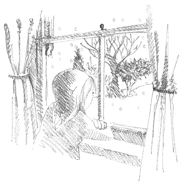 Иллюстрация к книге — Котенок Звездочка, или Двойной сюрприз [i_028.jpg]