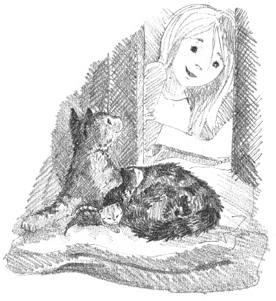 Иллюстрация к книге — Котенок Звездочка, или Двойной сюрприз [i_031.jpg]