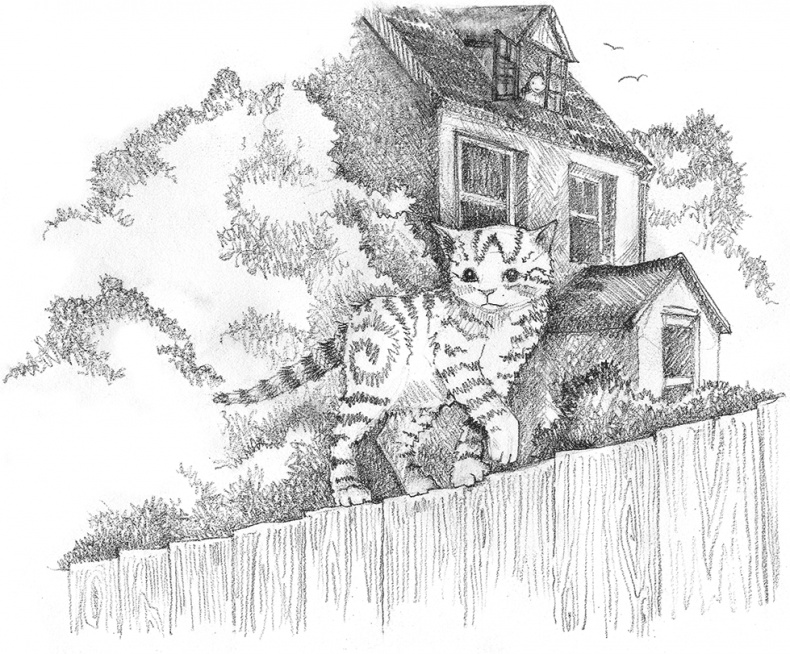 Иллюстрация к книге — Котенок Кэтти, или Секрет в шкафу [i_003.jpg]
