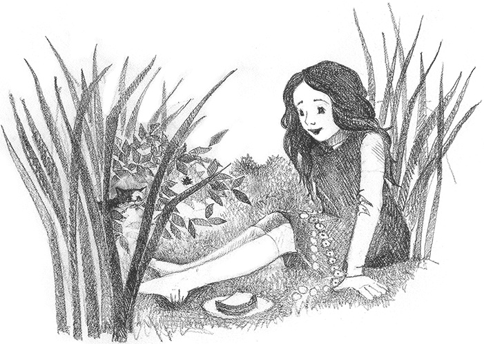 Иллюстрация к книге — Котенок Кэтти, или Секрет в шкафу [i_016.jpg]