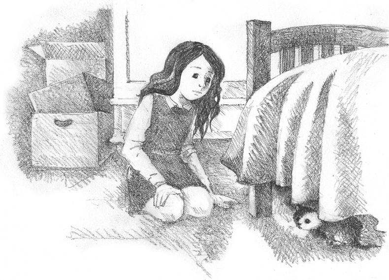 Иллюстрация к книге — Котенок Кэтти, или Секрет в шкафу [i_024.jpg]