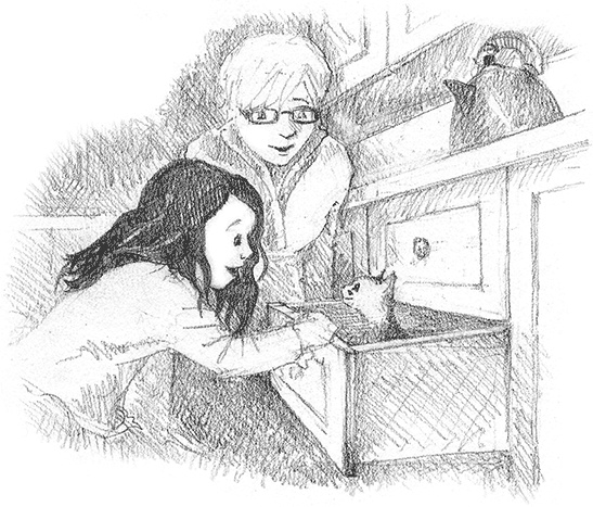 Иллюстрация к книге — Котенок Кэтти, или Секрет в шкафу [i_034.jpg]