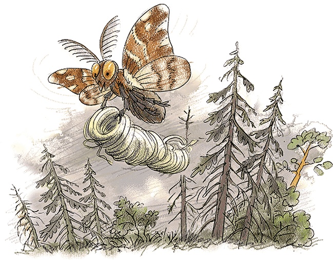 Иллюстрация к книге — Волшебное слово. Сказки и рассказы [i_002.jpg]