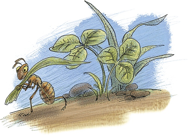 Иллюстрация к книге — Волшебное слово. Сказки и рассказы [i_004.jpg]