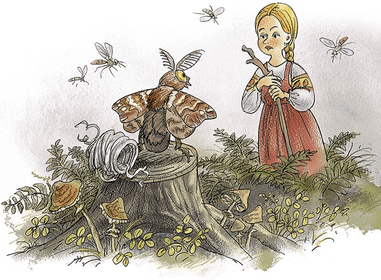 Иллюстрация к книге — Волшебное слово. Сказки и рассказы [i_013.jpg]