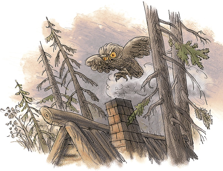 Иллюстрация к книге — Волшебное слово. Сказки и рассказы [i_016.jpg]