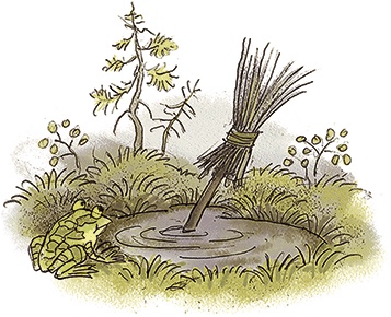 Иллюстрация к книге — Волшебное слово. Сказки и рассказы [i_020.jpg]