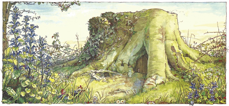 Иллюстрация к книге — Сказки и истории Ежевичной поляны (сборник) [i_005.jpg]