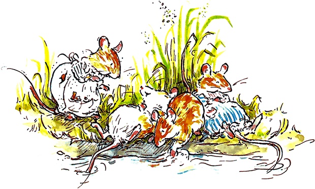 Иллюстрация к книге — Сказки и истории Ежевичной поляны (сборник) [i_032.jpg]