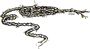 Иллюстрация к книге — Сказки и истории Ежевичной поляны (сборник) [i_034.jpg]