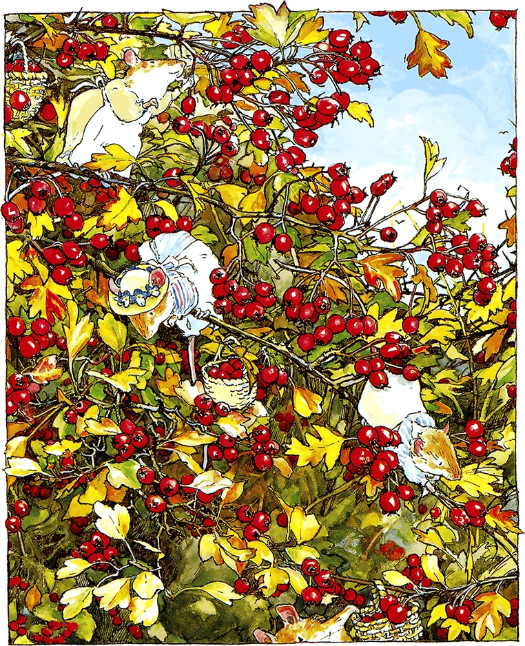 Иллюстрация к книге — Сказки и истории Ежевичной поляны (сборник) [i_062.jpg]