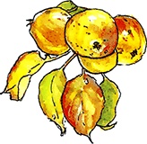 Иллюстрация к книге — Сказки и истории Ежевичной поляны (сборник) [i_064.jpg]