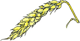 Иллюстрация к книге — Сказки и истории Ежевичной поляны (сборник) [i_067.jpg]