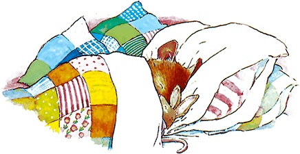 Иллюстрация к книге — Сказки и истории Ежевичной поляны (сборник) [i_081.jpg]