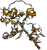 Иллюстрация к книге — Сказки и истории Ежевичной поляны (сборник) [i_096.jpg]