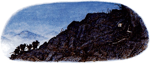 Иллюстрация к книге — Сказки и истории Ежевичной поляны (сборник) [i_138.jpg]