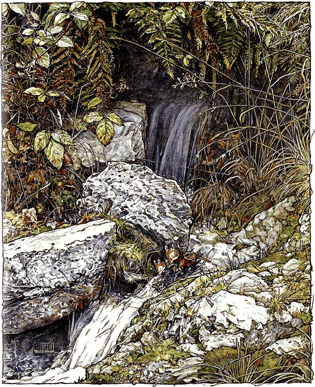 Иллюстрация к книге — Сказки и истории Ежевичной поляны (сборник) [i_149.jpg]